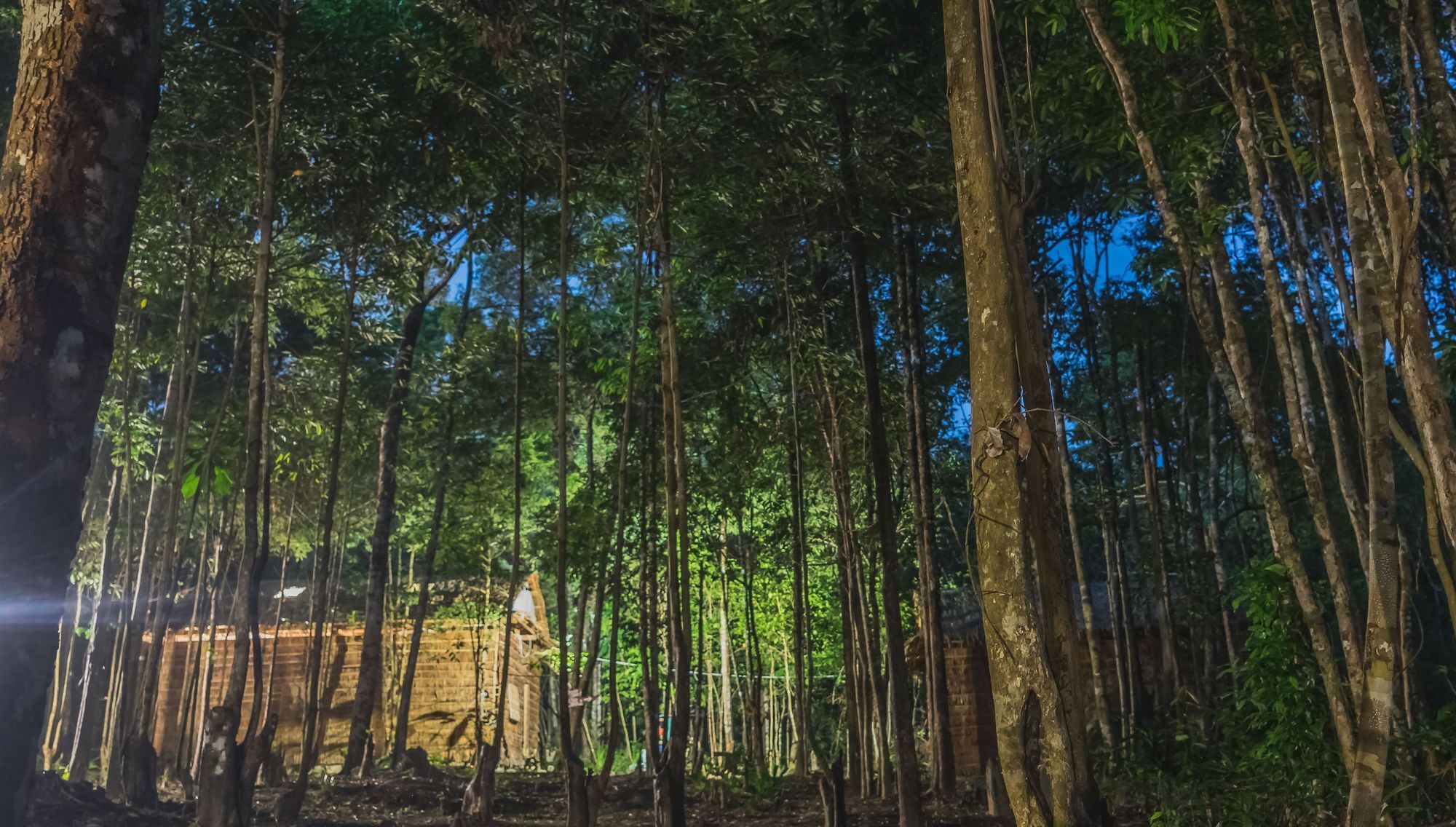 Driftwood Hostel And Bungalows Koh Rong Sanloem Exterior foto